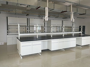 鋼木懸掛式實驗臺